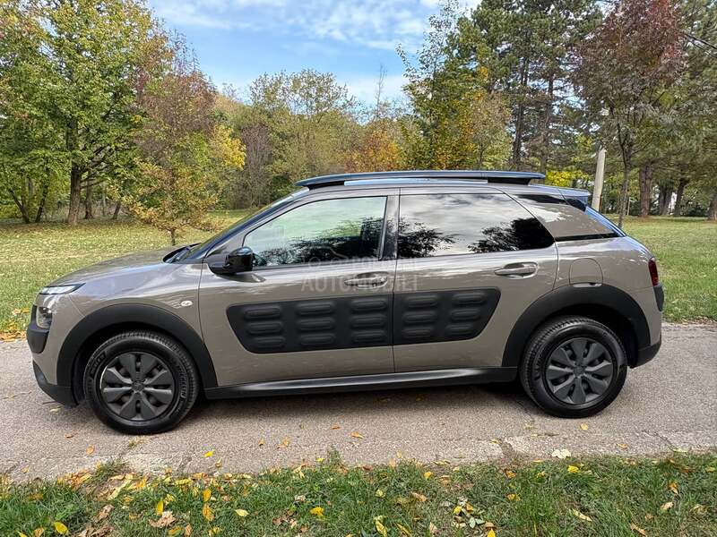 Citroen C4 Cactus 1.6d holand