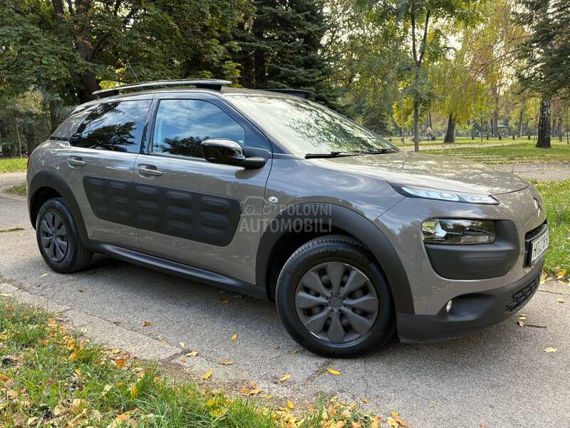 Citroen C4 Cactus 1.6d holand