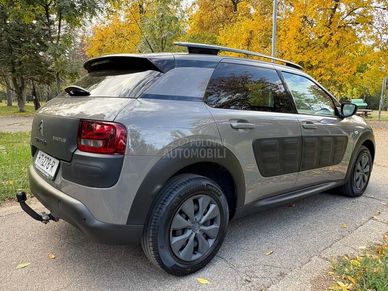 Citroen C4 Cactus 1.6d holand