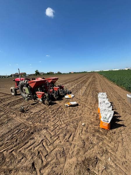 Nodet Pneumassem gougis 2