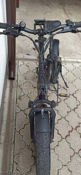 Alpina Mannarini icone