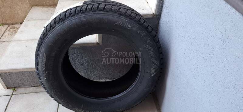 Riken 195/65 R15 Zimska