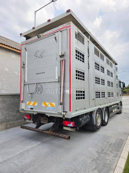 MAN TGX26.440  STOCAR