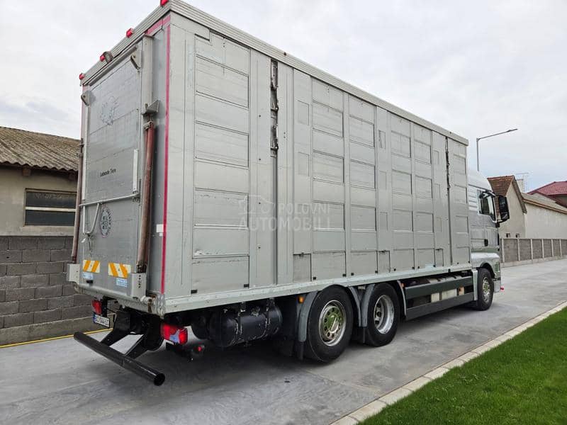 MAN TGX26.440  STOCAR