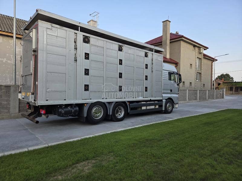 MAN TGX26.440  STOCAR