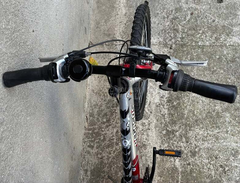 Pegasus Team 24