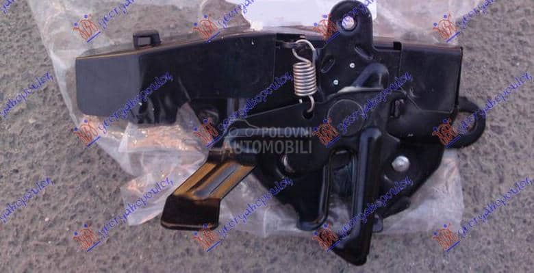 BRAVA HAUBE NA VEZNOM LIMU...