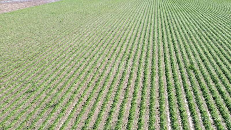 Autopilot za traktore PTx Trimble