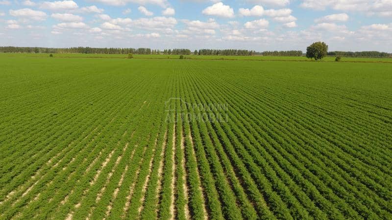 Autopilot za traktore PTx Trimble