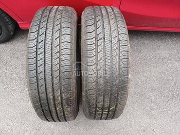 Goodyear 225/65 R17 Sve sezone