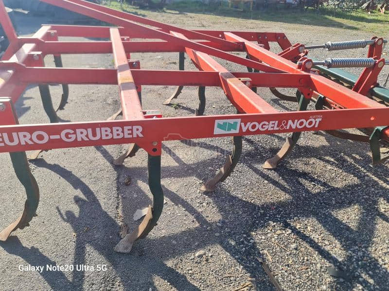 Vogel Noot Euro Gruber