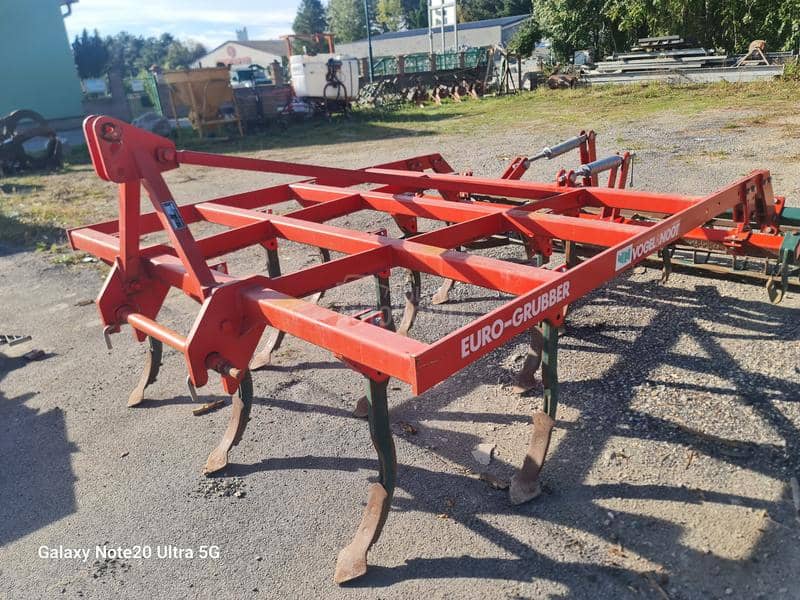 Vogel Noot Euro Gruber