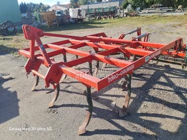 Vogel Noot Euro Gruber