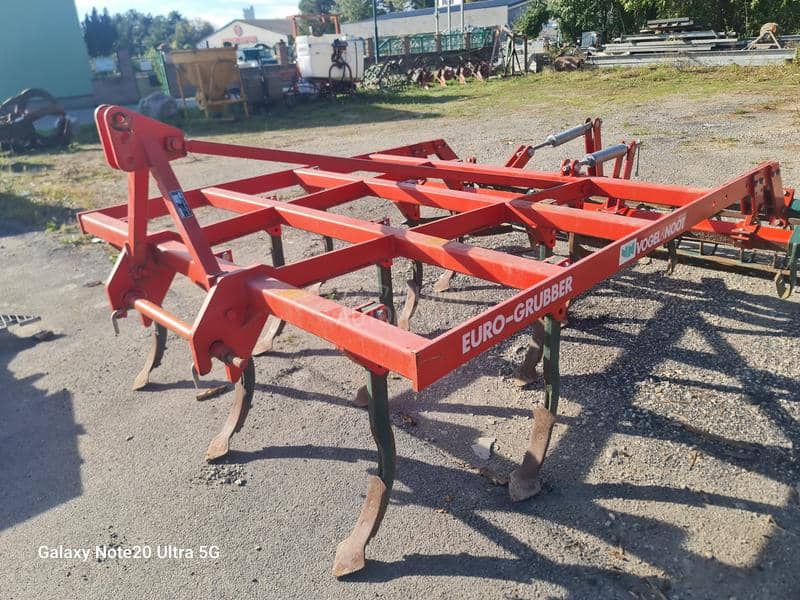 Vogel Noot Euro Gruber