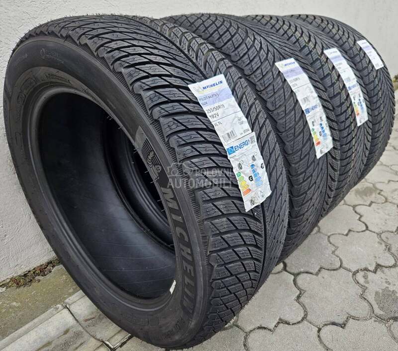 Michelin 255/50 R19 Zimska