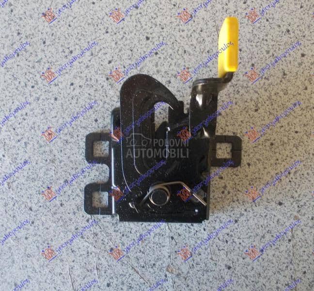 BRAVA HAUBE NA VEZNOM LIMU