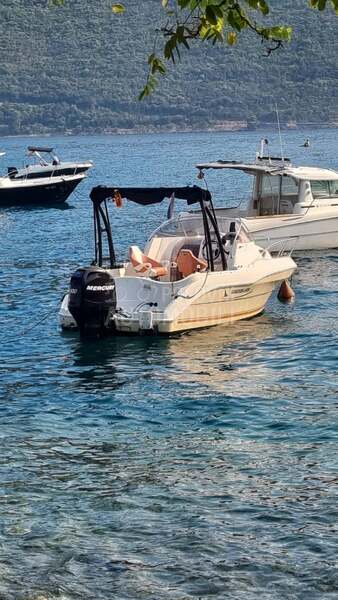 Quicksilver 540