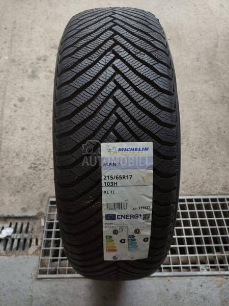 Michelin 215/65 R17 Zimska