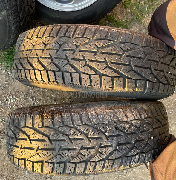 Tigar 185/65 R15 Zimska