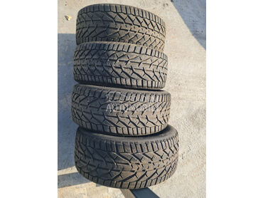 Taurus 255/45 R20 Zimska 