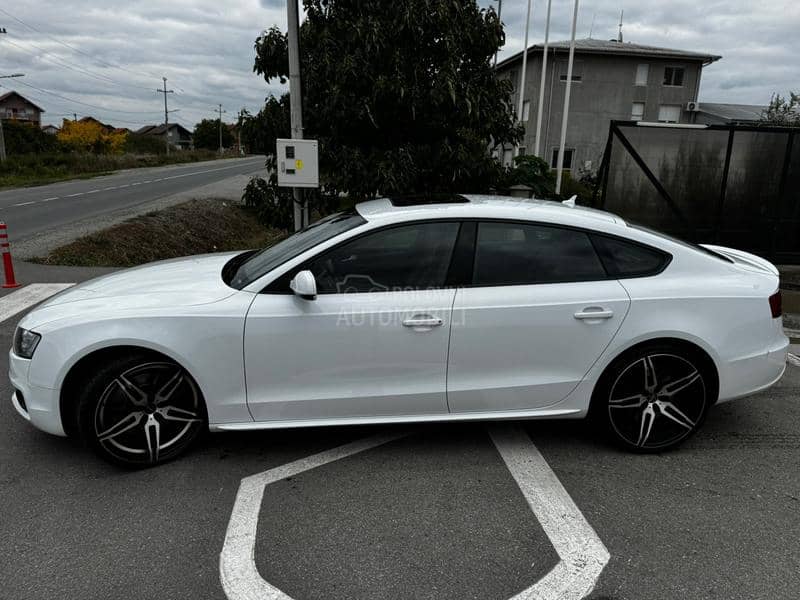 Audi S5 S5 SB TFSI QUATTRO