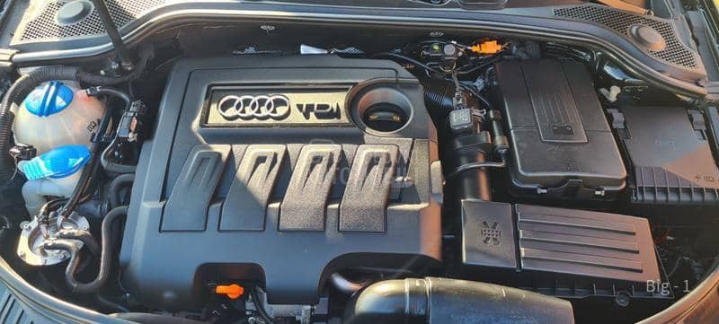 Audi A3 1.6 TDI 77 K W