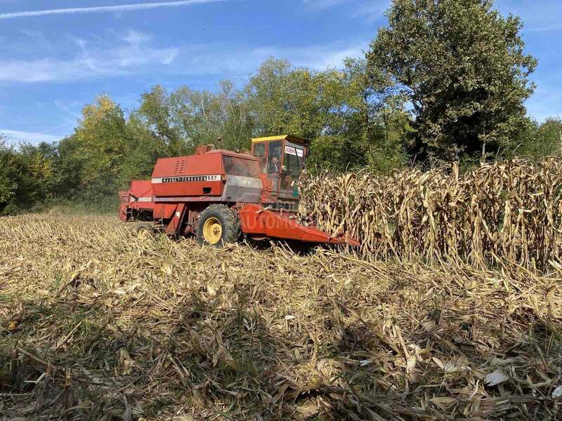Massey Ferguson 507