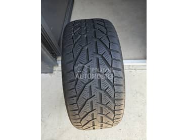 Riken 225/40 R18 Zimska