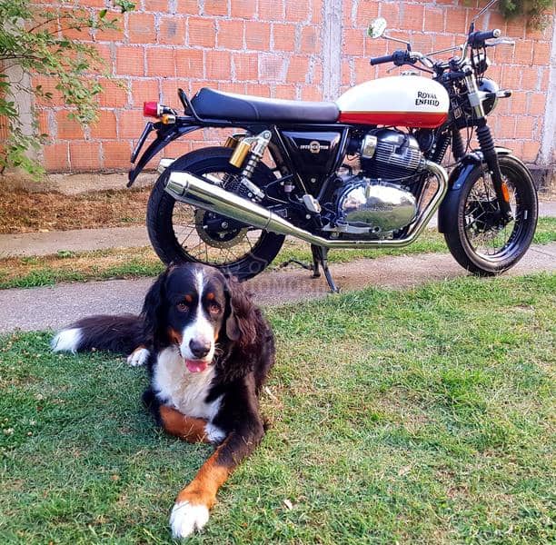 Royal Enfield Interceptor