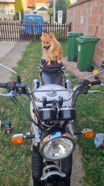 Royal Enfield Interceptor