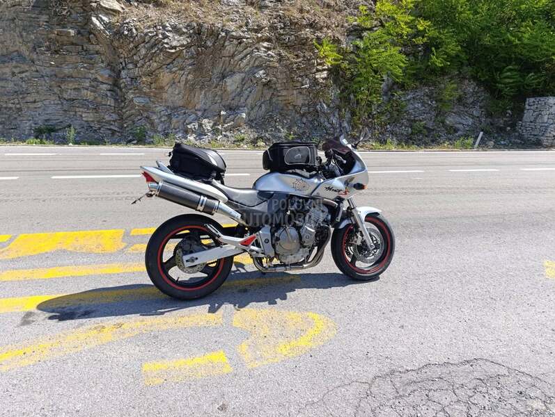 Honda hornet