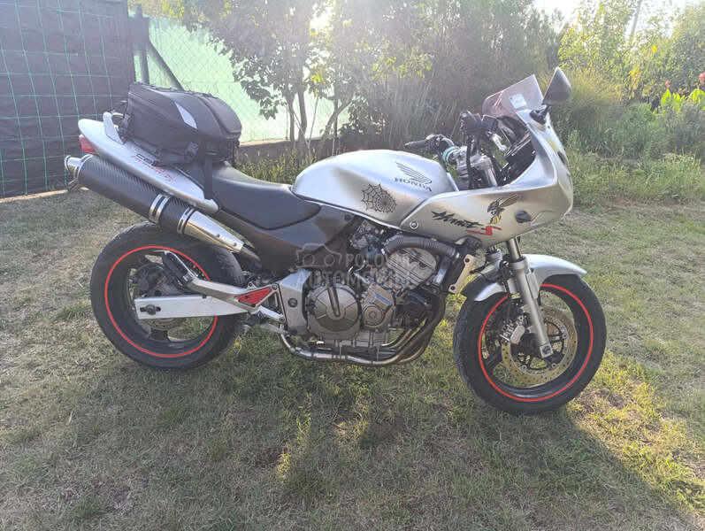 Honda hornet