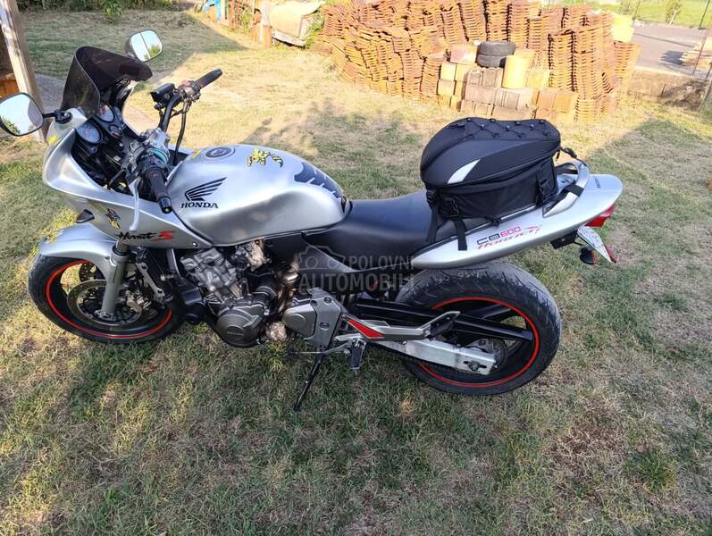 Honda hornet