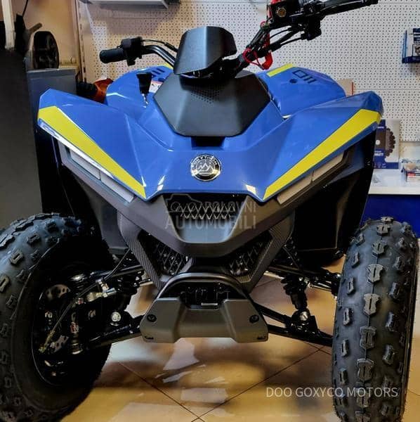 K-MOTO SKYTRON Eaglet