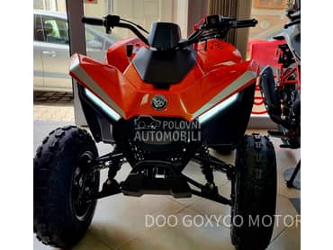 K-MOTO SKYTRON Eaglet