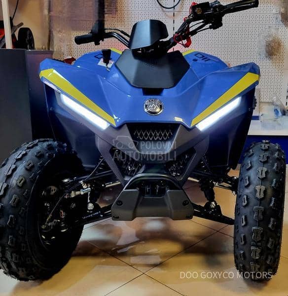 K-MOTO SKYTRON Eaglet