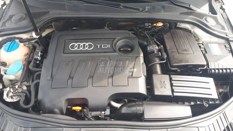 Audi A3 1.6td 77k w  NAV I