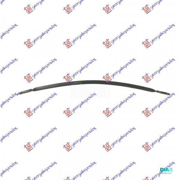 SINA PREDNJEG BRANIKA