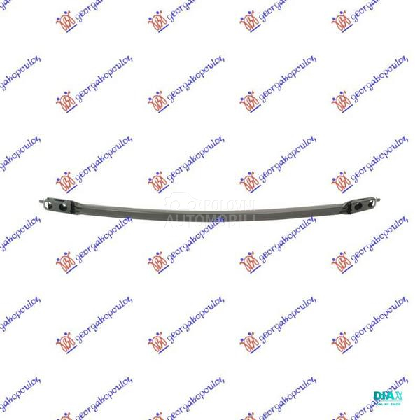 SINA PREDNJEG BRANIKA