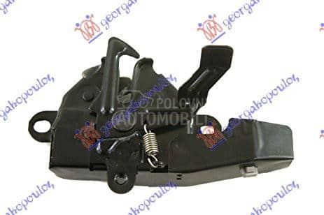 BRAVA HAUBE NA VEZNOM LIMU