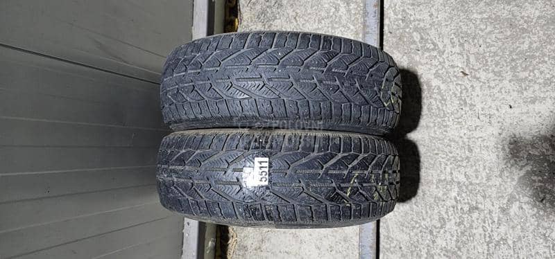 Riken 185/60 R15 Zimska