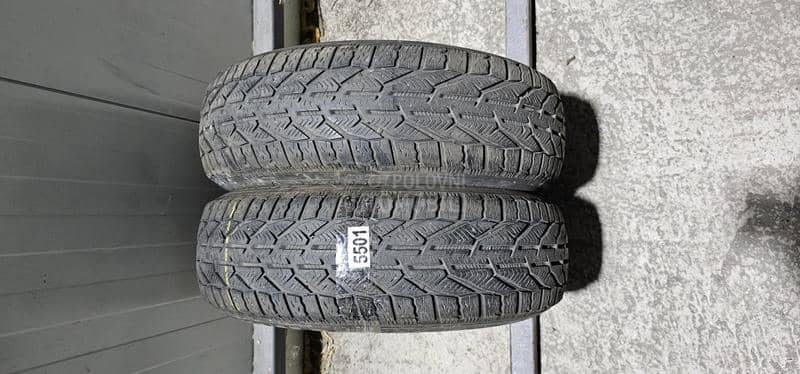 Riken 185/65 R15 Zimska