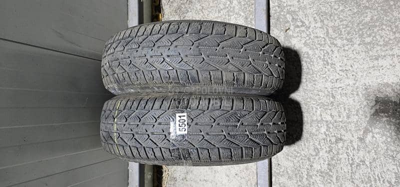 Riken 185/65 R15 Zimska