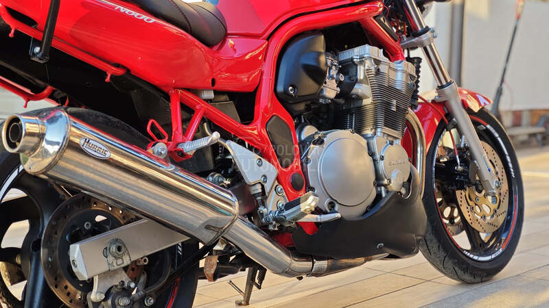 Suzuki bandit