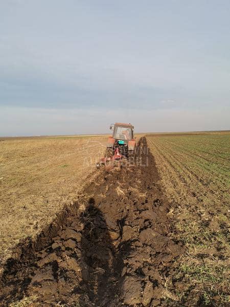 Vogel Noot Farmer 3SL