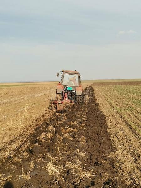 Vogel Noot Farmer 3SL