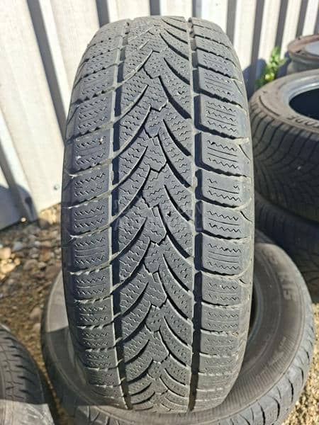 Platin Germany 185/65 R15 Zimska