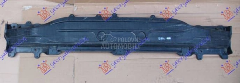 SINA ZADNJEG BRANIKA