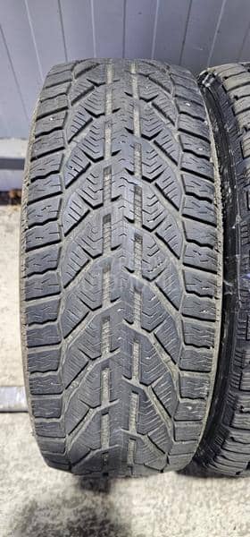 Riken 195/55 R16 Zimska