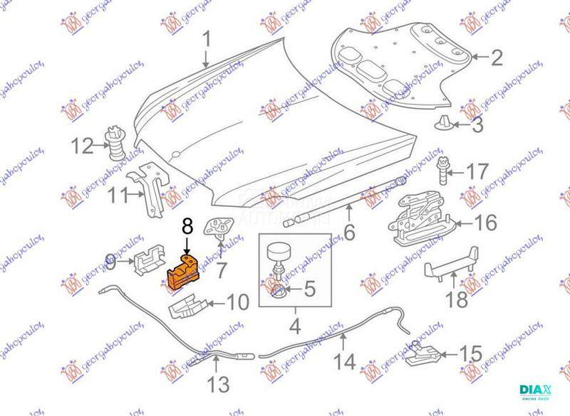 BRAVA HAUBE NA VEZNOM LIMU DON